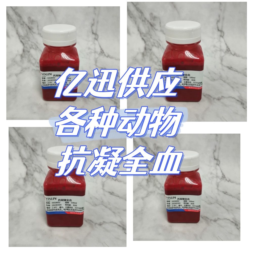 �ǿմ�ý��Ƶ���߲���-2026Ԫ���ż�֪ͨ