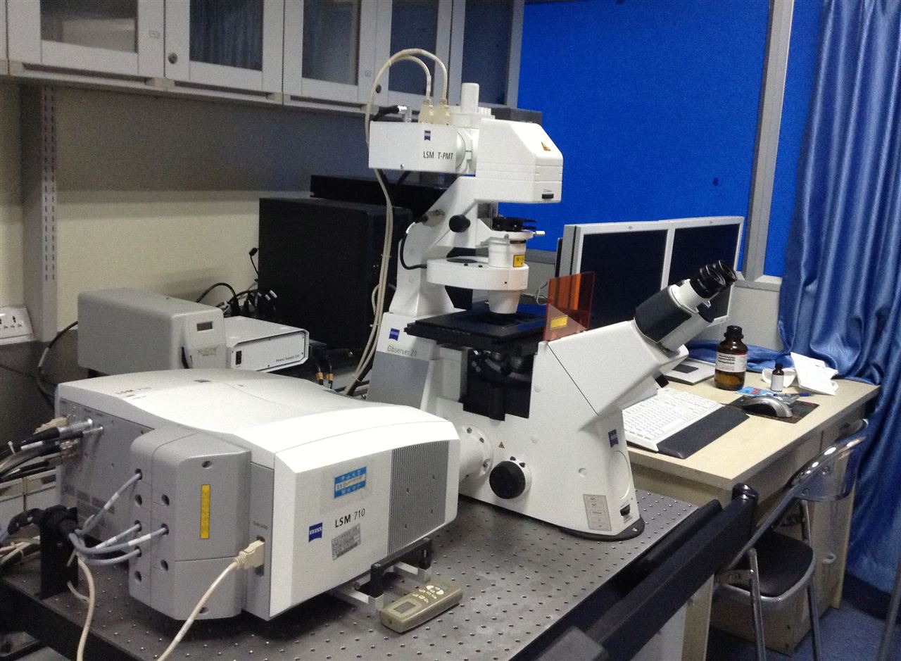 青岛大型科学仪器共享服务平台上线 全程网上