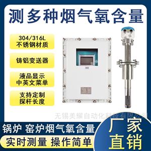 防爆氧化鋯氧量分析儀鍋爐煙道氧含量檢測儀