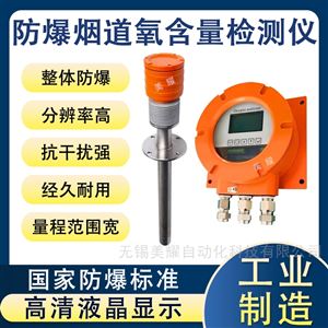 防爆氧化鋯分析儀危險廢棄焚燒爐氧含量檢測