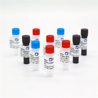 大腸桿菌噬菌體PhiX174核酸參考品（熱滅活）（強陽性）3