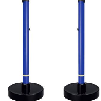 RJ12系列立柱式行人/行包辐射监测系统