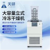 TY-DG80-D1大容量立式冷凍干燥機