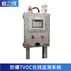 WZZ-G01【防爆型】废气TVOC在线监测系统