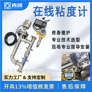在线粘度计 带辅助管道 防腐防爆 支持定制