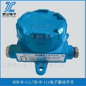 防爆電子振動開關(guān)HZD-B-III TEKL-B-III