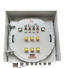 BXKIP65高防护等级防爆控制箱