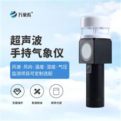 WX-SQ2A手持式气象仪器
