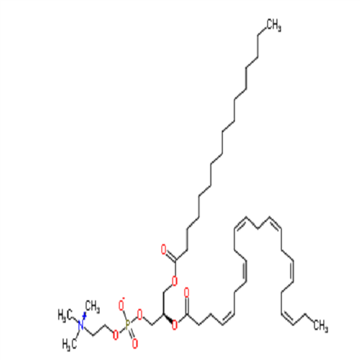 cas：59403-54-2，16:0-22:6 PC
