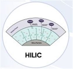Zodiac HST S2 混合模式HILIC色譜柱
