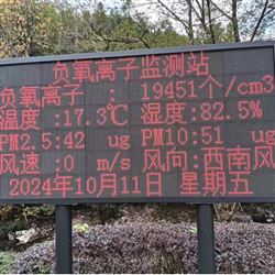 JYB-FY生態(tài)公園景區(qū)大屏展示負(fù)氧離子監(jiān)測系統(tǒng)