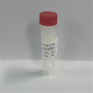 CD34+扩增用分化抑制剂