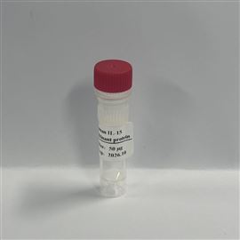 Recombinant Human IL-15