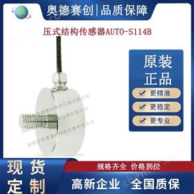 压式结构传感器AUTO S114B工厂直销变送器