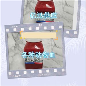 肝-素-钠抗凝豚鼠血
