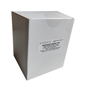 NittoPhase®HL UnyLinker™250