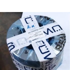 ?STÜWE聯軸器WK-100-12x100