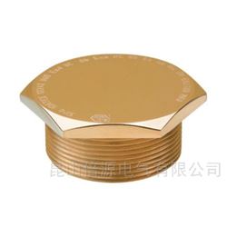 CKA1200YXN Stopping plugRAXTON系列 CKA4200YXN铜镀镍堵头