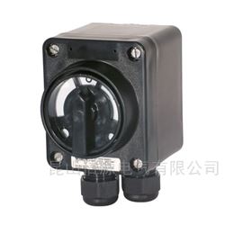 EATON CEAGGHG2610005R0005防爆安全開關