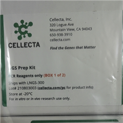 LNGS-300NGS文库制备试剂盒