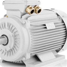 意大利Nicolini E-Motor 三相異步電機