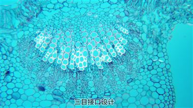 正置荧光生物显微镜