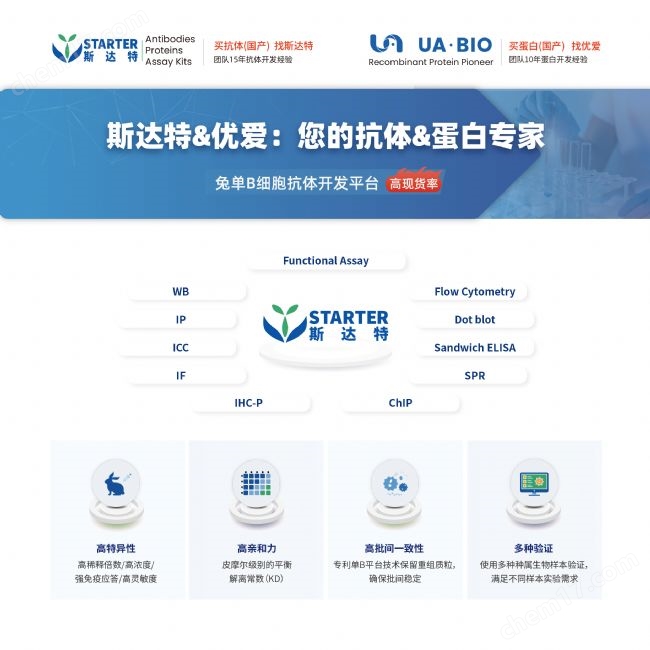 鼠源RNase抑制劑