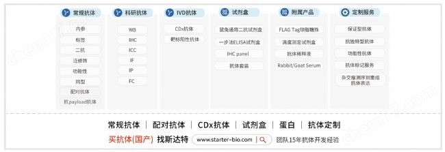 重組人內因子蛋白(CBLIF)，His標簽
