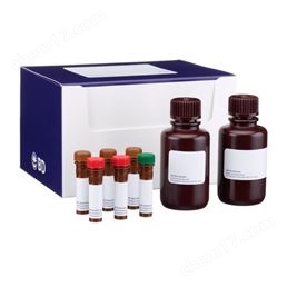 BD 人定向胰腺內(nèi)胚層分析試劑盒562496