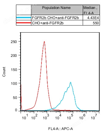 FGFR2b CHO