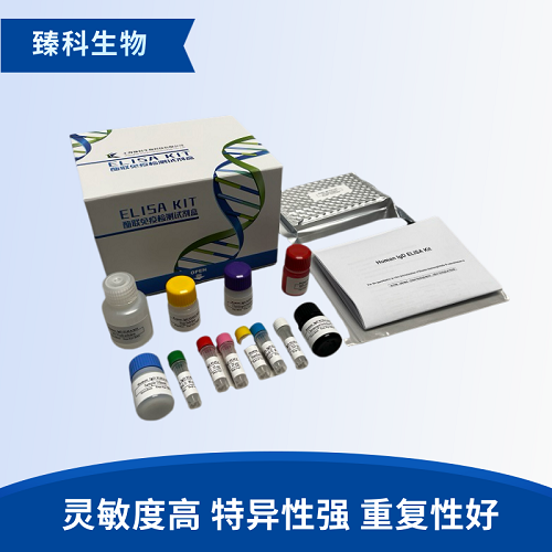 人5-羥色胺受體6(HTR6）酶聯(lián)免疫試劑盒