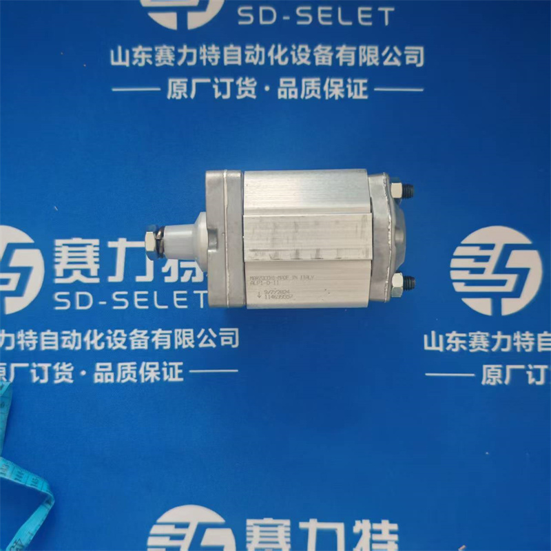 關(guān)于 MARZOCCHI齒輪泵 的介紹