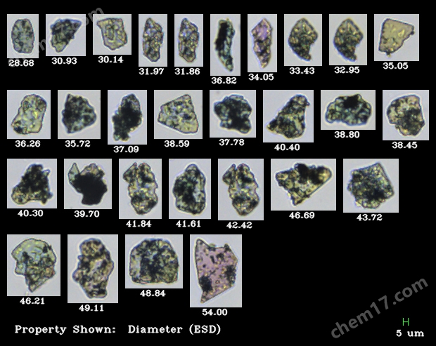 FlowCam 8000顆粒成像分析儀