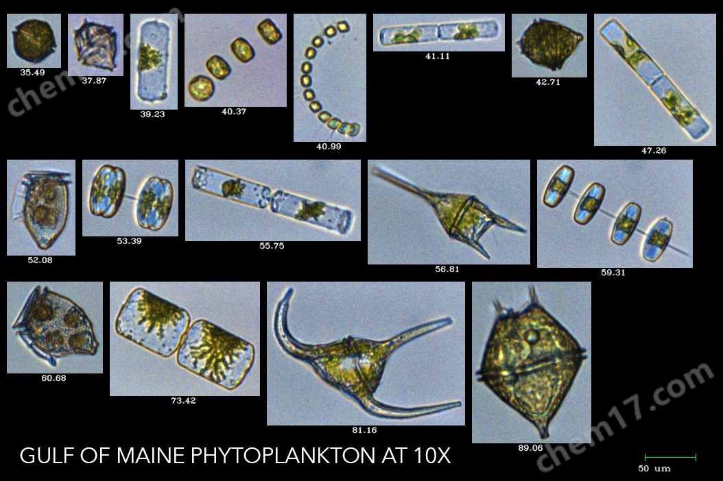 FlowCam 8000顆粒成像分析儀