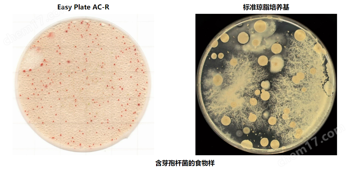 菌落總數快速檢測用測試片 Easy Plate AC-R