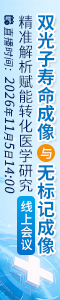 双光子寿命成像与无标记成像精准解析赋能转化医学研究