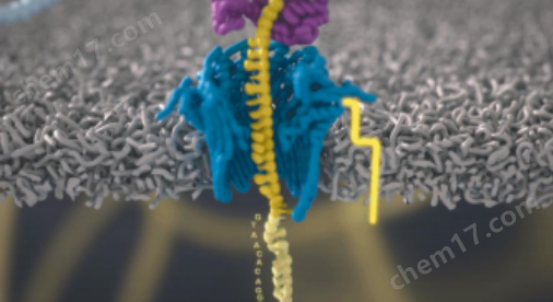 納米孔三代測序儀PromethION 24