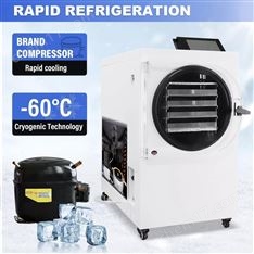 家用凍干機(jī)