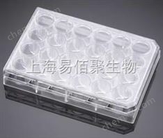 24孔細胞培養(yǎng)池配套用板