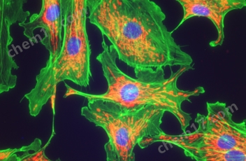 尼康生物顯微鏡CI-L十一月介紹