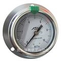 OPG-DFT-G1/4-60X10MPa嵌入式ASK壓力表OPG-DFT-G1/4-60x10MPa