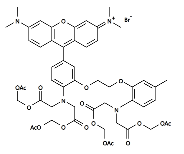 Rhod-2