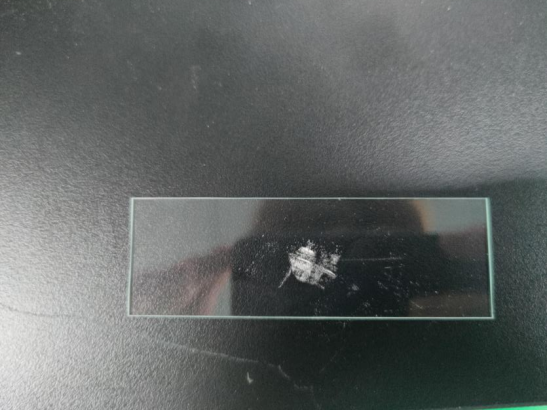 DG190凍干顯微鏡測試系統(tǒng)