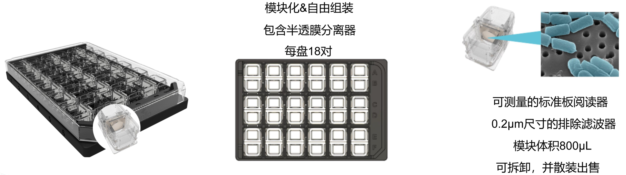 圖層 8.png