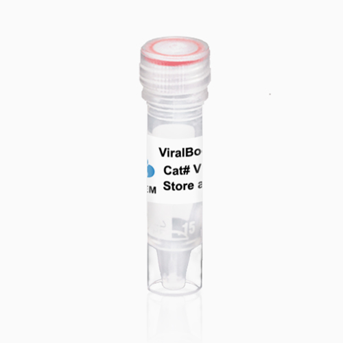ALSTEM●VB100●ViralBoost Reagent 病毒增強試劑【選購指南】