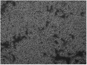 圖片4.png 圖片4.png