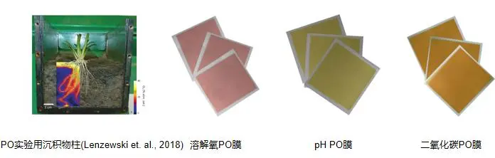 微信图片_20240430103854.png