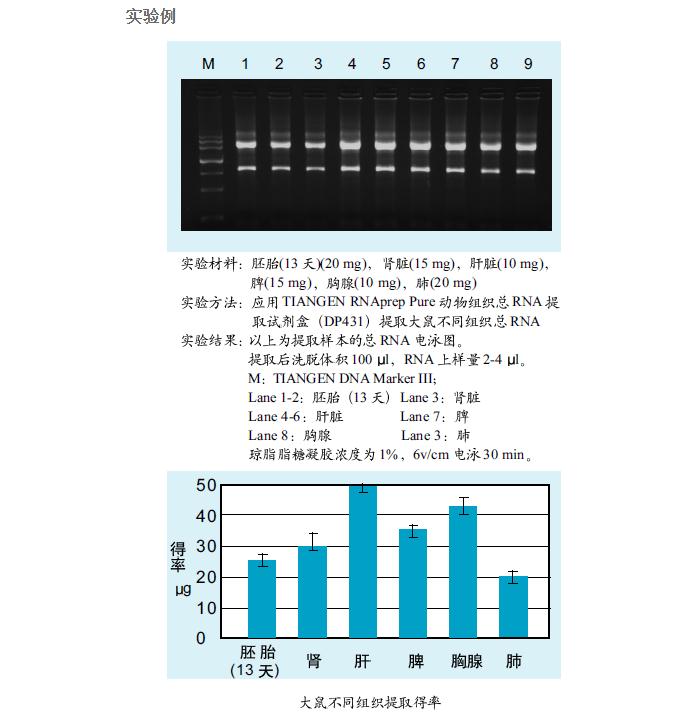 天根试剂盒DP431-实验例.jpg