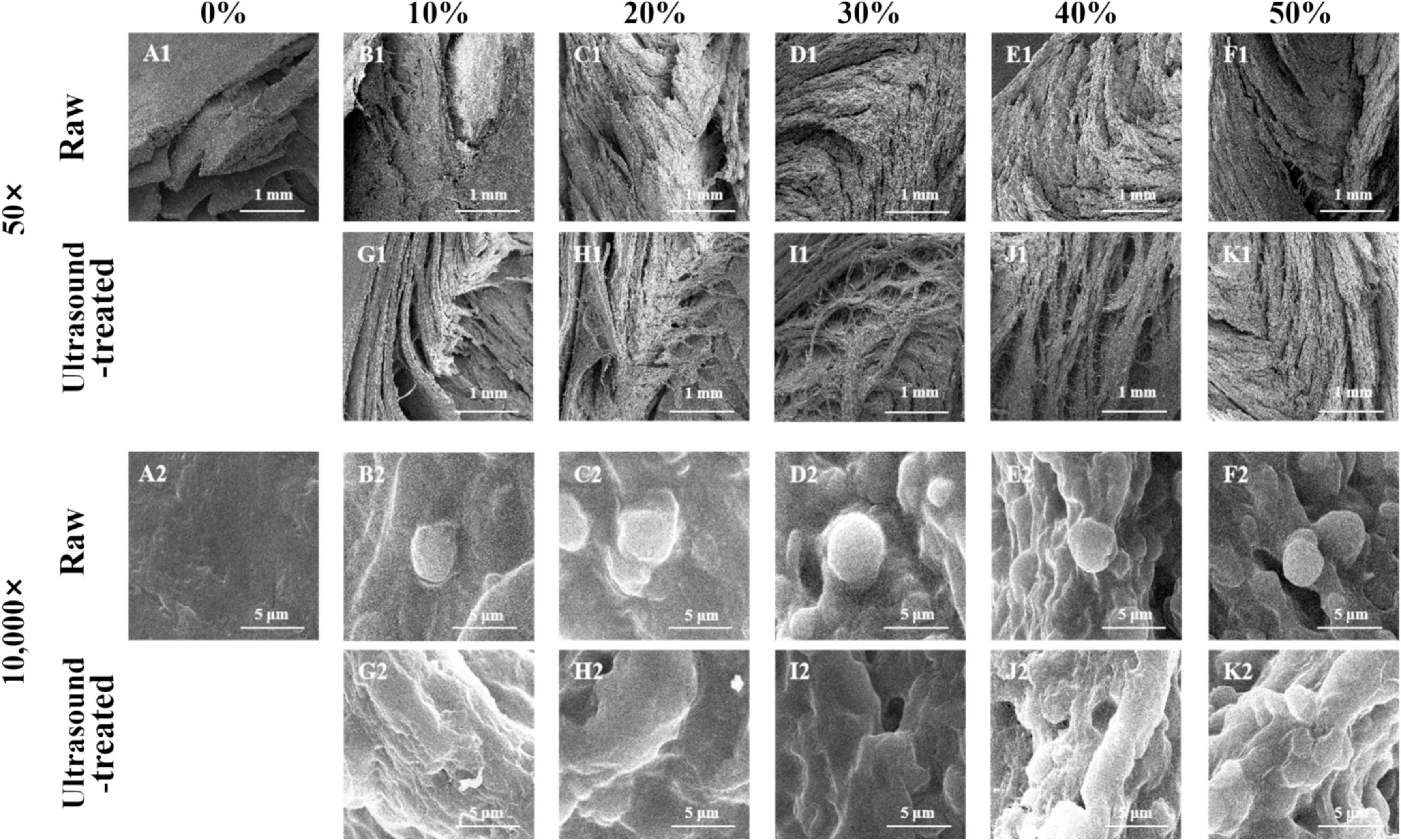 上海騰拔質(zhì)構(gòu)儀助力新加坡國立大學(xué)和江南大學(xué)在人造肉研究取得進(jìn)展