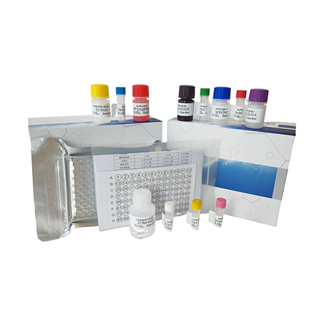 大鼠ELISA檢測試劑盒 上海研域生物大鼠ELISA檢測試劑盒實驗洗滌時不影響結果